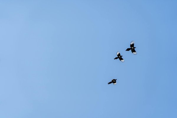 Transform your well-being with custom nutrition supplements